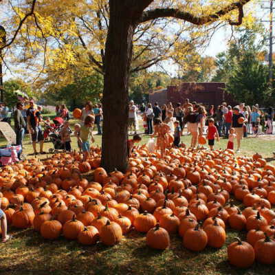 Fall Fest