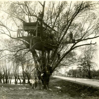 Tree house