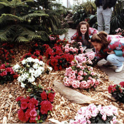 Wilder Park, Conservatory