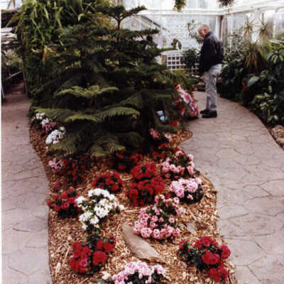 Wilder Park, Conservatory