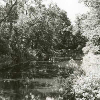 Salt Creek
