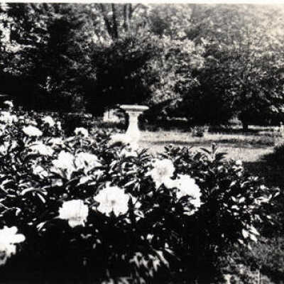 Thomas Bryan Estate, gardens