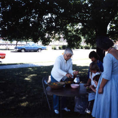 Elmhurst Historical Museum, Pioneer Day