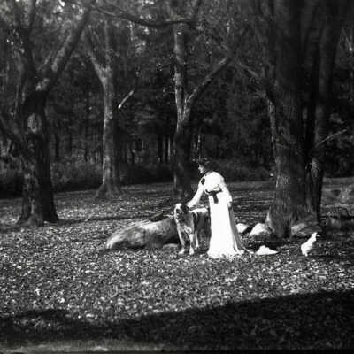 Thomas Bryan Estate, grounds