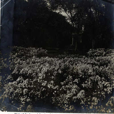 Thomas Bryan Estate, gardens