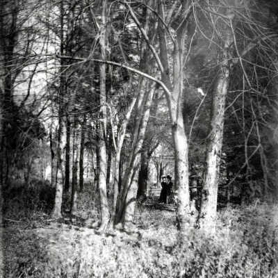 Thomas Bryan Estate, grounds
