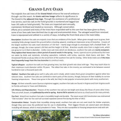History Packet Live Oak Trees Page 1