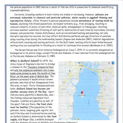 History Packet Brown Pelican Page 2