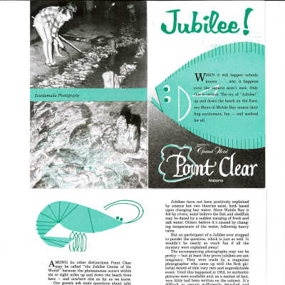 Jubilee! a unique phenomenon on Mobile Bay - brochure place in guest rooms at Grand Hotel