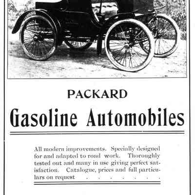Packard Car Print Ad