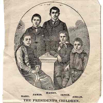 The Youngstown Evening News Article 09/10/1881