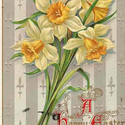 Postcard to P.L. Sutliff from niece Pat.