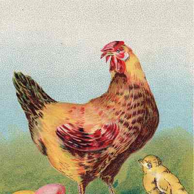 Postcard to Phebe T. Sutliff from Edith Granger Sutliff