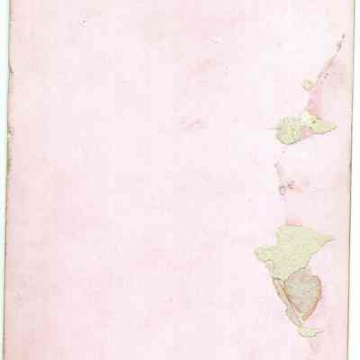 "3 years + 10 months": SM.1971.1.267vvv Back