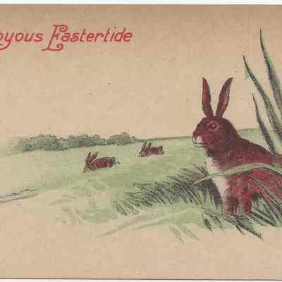 A Joyous Eastertide Bunny