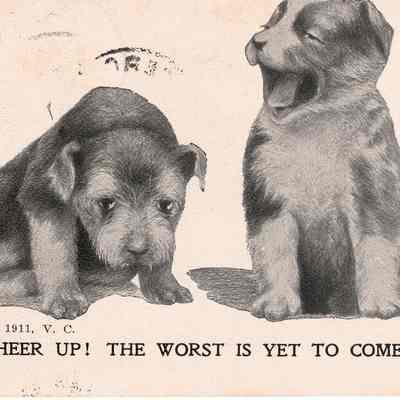 Cheer Up!