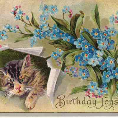 Birthday Joys