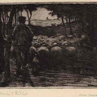 "Dutch Sheepherder"- A.T. Millar