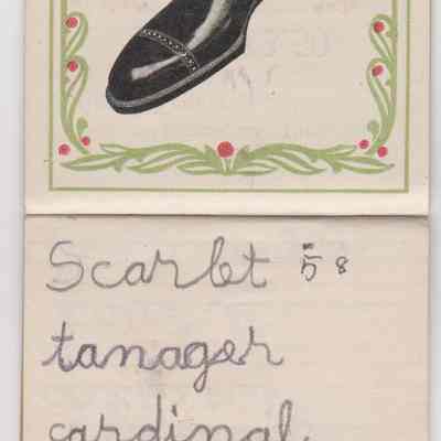 2022.1.2: Copyright: The Sutliff Museum; Origformat: Artifact