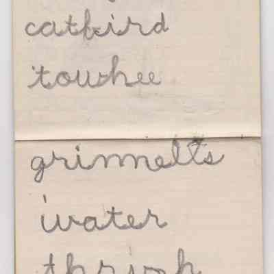 2022.1.2: Copyright: The Sutliff Museum; Origformat: Artifact