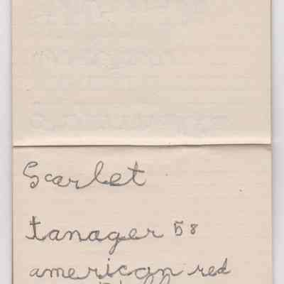 2022.1.2: Copyright: The Sutliff Museum; Origformat: Artifact