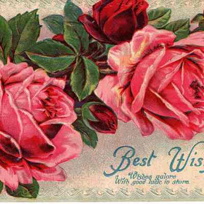 Best Wishes