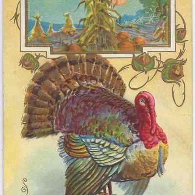 Thanksgiving Greetings