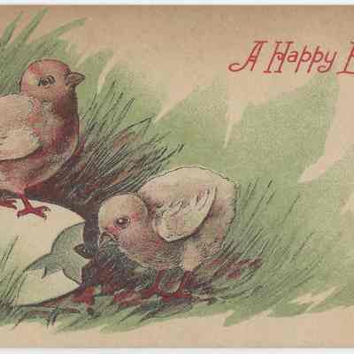 A Happy Easter Chicks