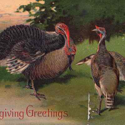 Postcard to Miss Phebe T. Sutliff from Edith G.S. Talbot