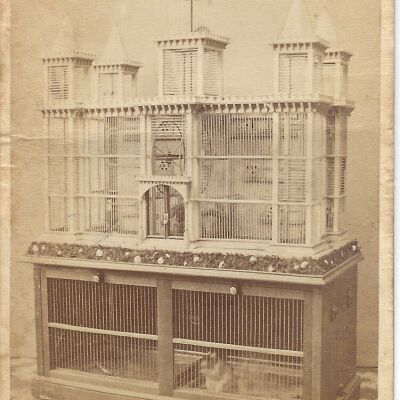 Birdcage Image Card
