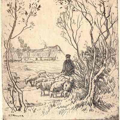 Untitled Drawing- A.T. Millar