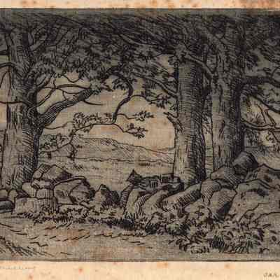 "Oak Trees Along Fence"- A.T. Millar
