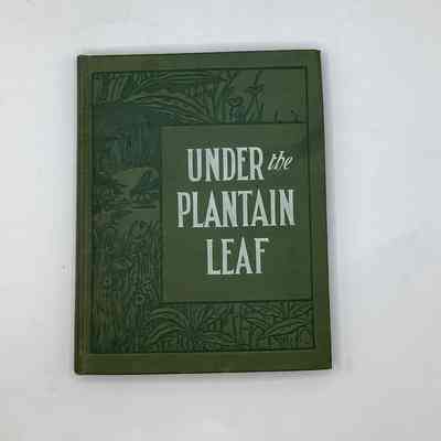 Under the Plantain Leaf