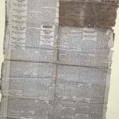 The Cleveland Leader, 7/10/1881