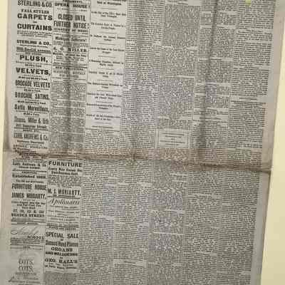 The Cleveland Leader, 11/22/1881