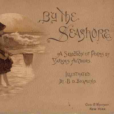 By the Seashore