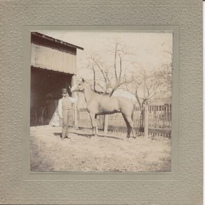Edward J "EJ" Brainard with horse