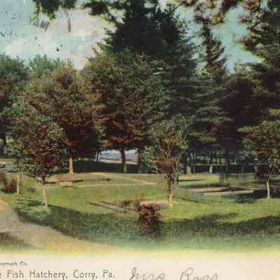 Postcard to Miss Phebe Sutliff from Mrs. Rose