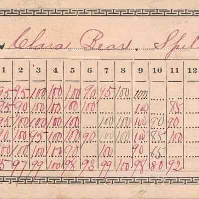 Clara Bear Report Cards