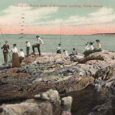 Postcard to Phebe T. Sutliff from Ida Chaney