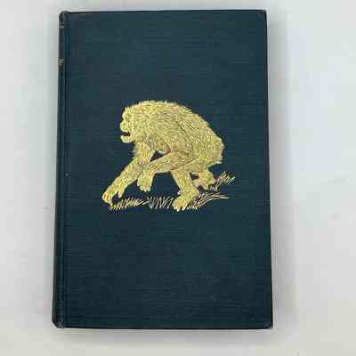 Adventures in the Great Forest of Equatorial Africa and the Country of the Dwarfs