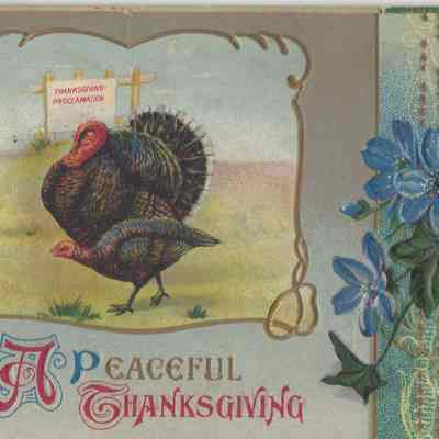 A Peaceful Thanksgiving