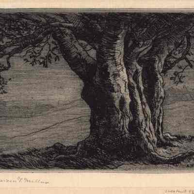"Chestnut Tree"- A.T. Millar