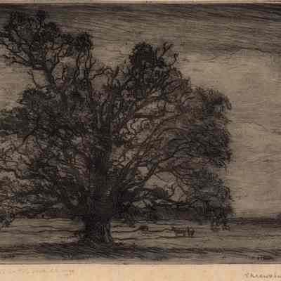 "Shrewsbury, N.J."- A.T. Millar