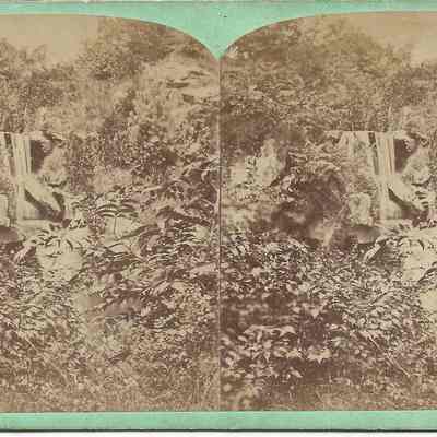 Stereoscope Card: Central Park NY