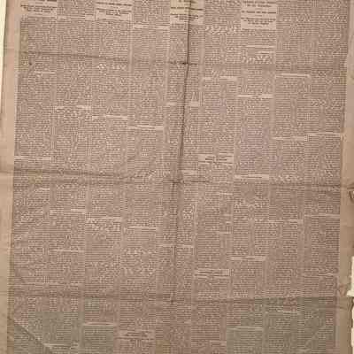 The Sunday Chronicle, 3/20/1881