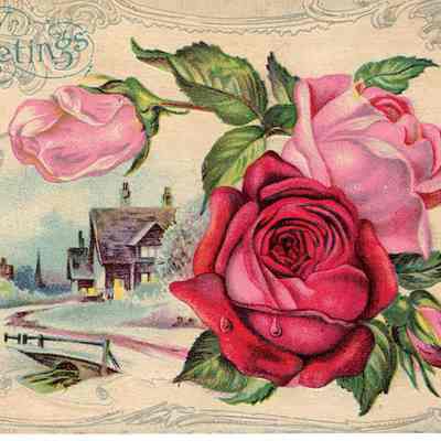 Birthday Greetings