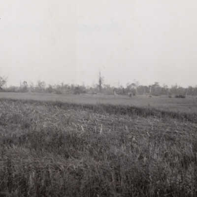 Tornado of 1947
