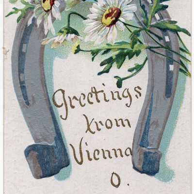 Vienna Postcard