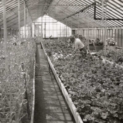 Huffman's Greenhouse